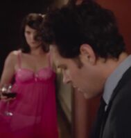 Cobie Smulders lingerie plot in They Came Together