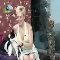 Hard Times With The Guest's Dog On A Turkish Morning Tv Show