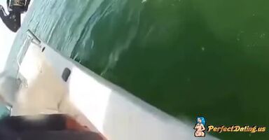 Grouper takes out a shark